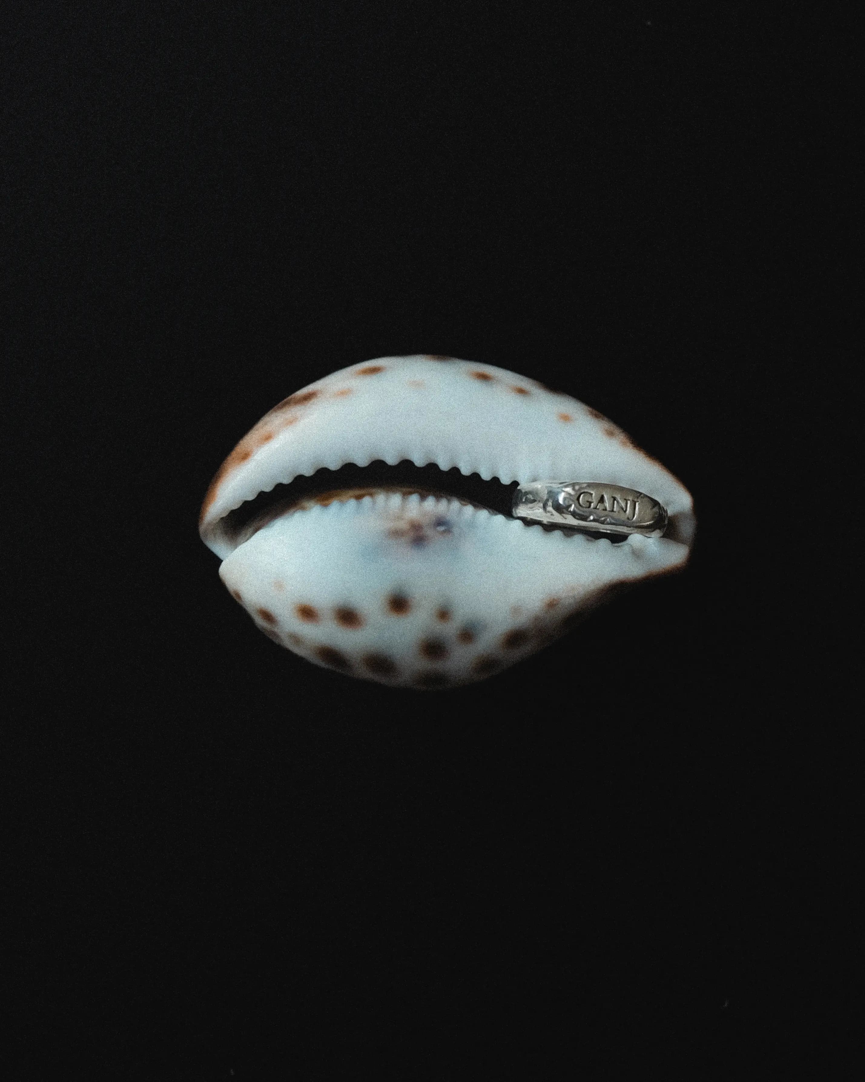 Ganj Ring 4