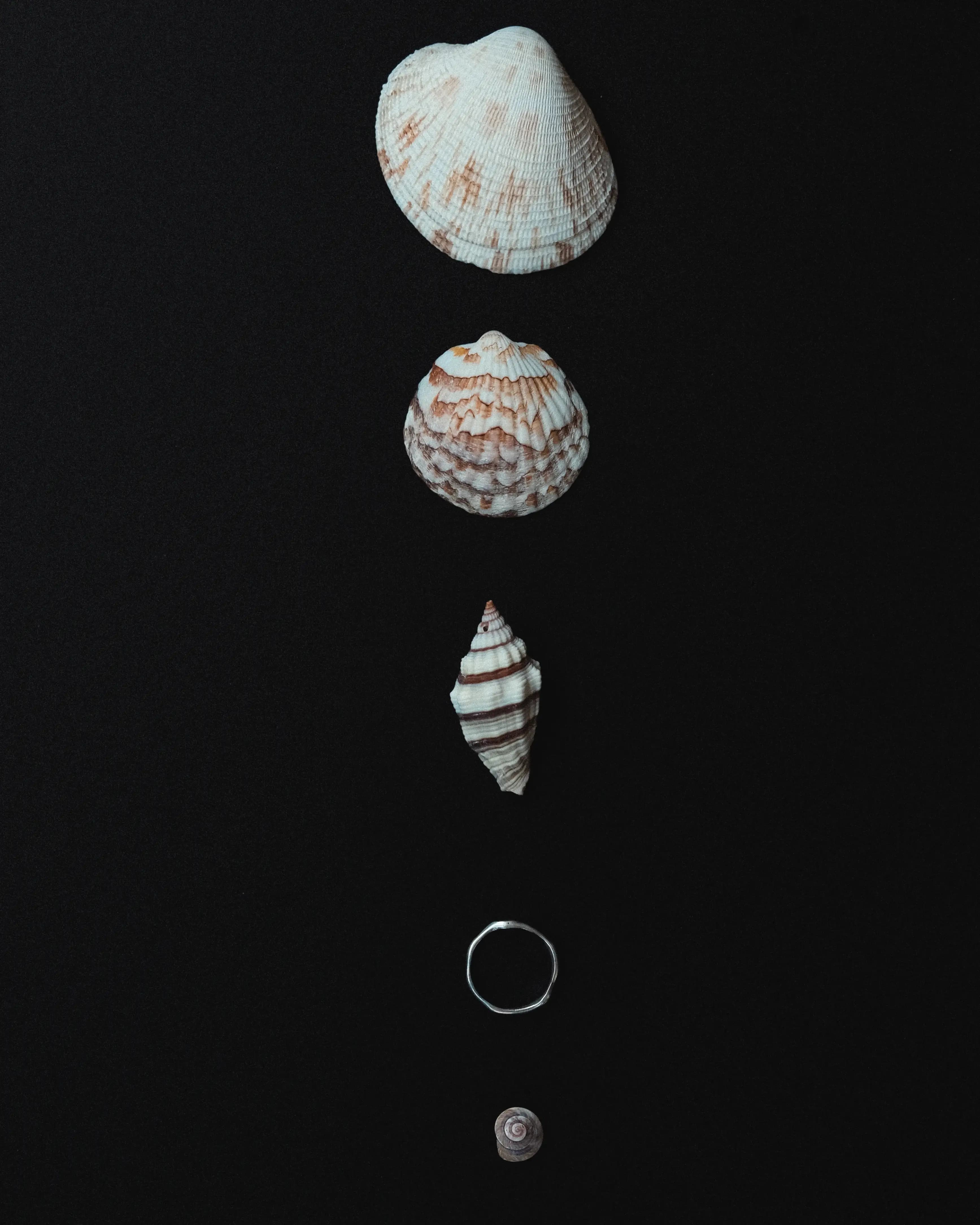 Whisper Ring 1